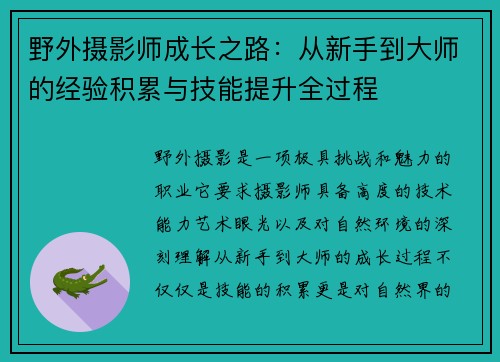 野外摄影师成长之路：从新手到大师的经验积累与技能提升全过程